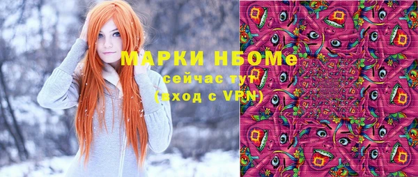 трава Белокуриха