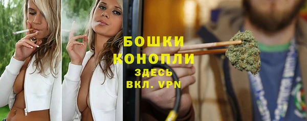 трава Белокуриха
