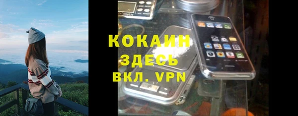 трава Белокуриха