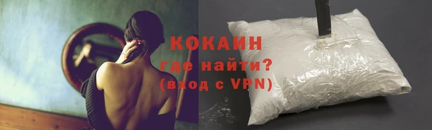 трава Белокуриха