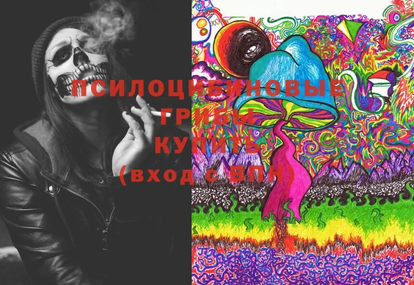 трава Белокуриха