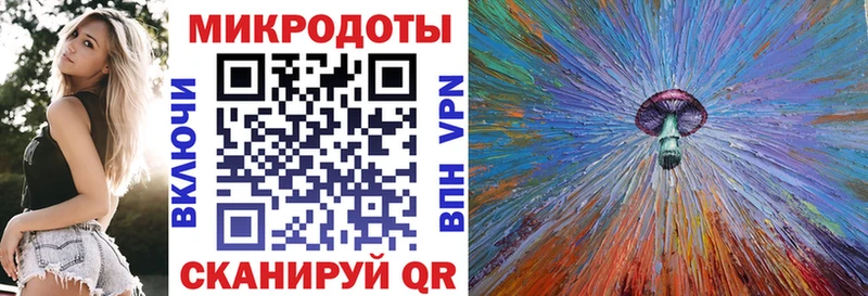 omg   Верхняя Тура  Псилоцибиновые грибы мицелий  наркота 